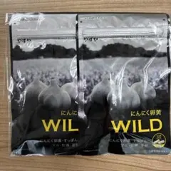 Item thumbnail for item 49979d9a-aa5e-4944-b11e-747f3fab4d6d