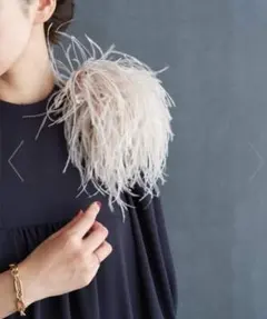 2026年最新】オーストリッチ コサージュの人気アイテム - メルカリ