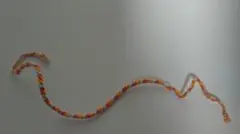 Item thumbnail for item 2659df28-2ee1-407f-93ff-a041d2ea770a