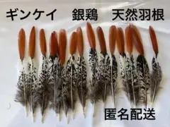 しゅうすけ様 リクエスト 7点 まとめ商品