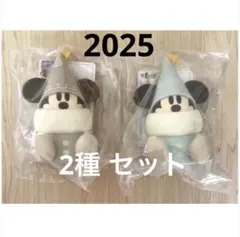 【新品未使用】リルリンリン ディズニー スナックケース スーベニア 2025