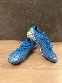 Item thumbnail for item 7783fd84-8ed7-4379-9c7e-ba40ca159564