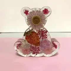 固まるハーバリュウム　ベア［少々訳あり］