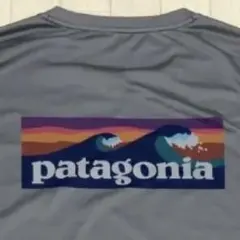 パタゴニア　Tシャツ　長袖　ラッシュガード　グレー