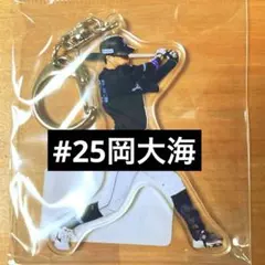 Item thumbnail for item 6dcc6e01-0253-4314-ab7b-9aae918964fd