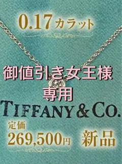 0.17カラット大粒ダイアモンド Tiffanyバイザヤードネックレス シルバーのサムネイル