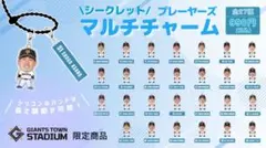 読売ジャイアンツ 巨人 石川達也 プレーヤーズマルチチャーム
