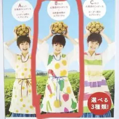 ⭐︎値下げ⭐︎ カルビー　エプロンちょ【Ｂ自然素材柄】　フリーサイズ　非売品