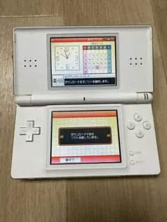 任天堂dsライト本体