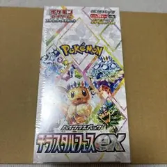 ポケモンカードゲーム テラスタルフェスEX