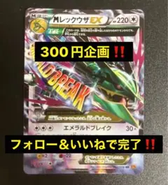 【300円企画】 MレックウザEX