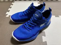 ASICS グライドノヴァFF2 バスケットボールシューズ　25.0cm