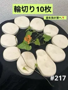 #217 丸太　輪切り　切り株　10枚　ハンドメイド材料　樹皮無し