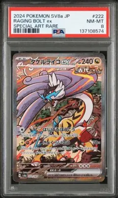 【PSA8】ポケモンカード タケルライコex SAR テラスタルフェスex
