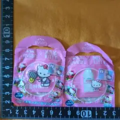 Hello Kitty ✕エビアン　ハローキティの1日マグネット 　2点　未開封