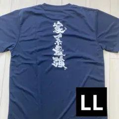 Item thumbnail for item 241a5136-bc3d-4843-ae6e-116899000e01