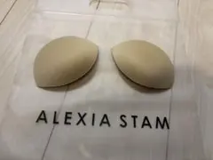 アリシアスタン　水着用パッドのみ