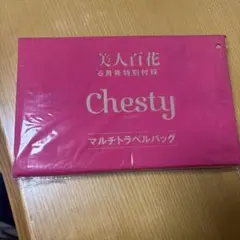 美人百科　chesty マルチトラベルばっちしかのサムネイル