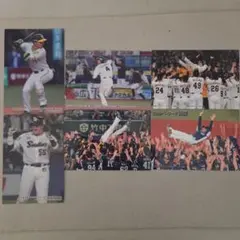 Item thumbnail for item b83b837a-8e30-4e42-82a9-9fbaeeec7c41