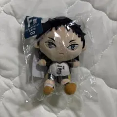 ぬいもっち ハイキュー 一番くじ 赤葦京治