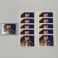 望月穂波 ぱしゃこれ 6b 箔押し