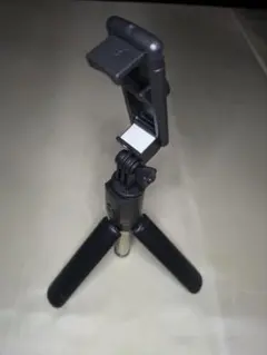 Item thumbnail for item c56fc798-9e7d-48af-833c-3fd9989e4807