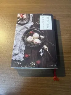 流浪の月 凪良ゆう著 東京創元社