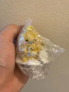 サンリオ I♡MEシリーズシークレットチャーム　くでたま