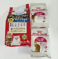 猫フード　ロイヤルカナン
