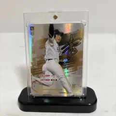 ssp スポーツカード