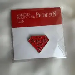 SEVENTEEN 愛知 ピンバッジ　AICHI