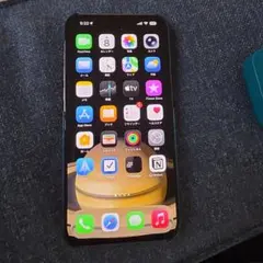 iPhone 15 Pro Max 512GB + ピタカケース