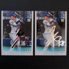 Item thumbnail for item d1c54277-4f47-49fa-9cbe-16c606bef16f