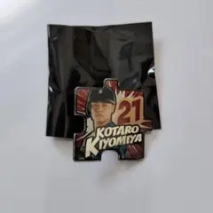 ヒプノシスマイク サンシャイン栄コラボ缶バッジ 十四 - メルカリ