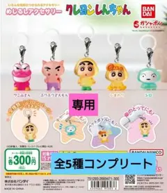 【専用】クレヨンしんちゃん めじるしアクセサリー 全5種 コンプリート クリア