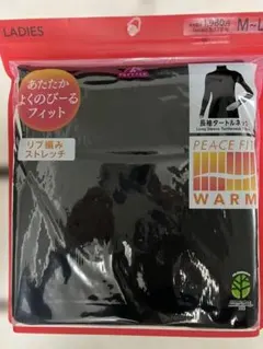 Item thumbnail for item e5c45393-34cb-4032-bcc9-0cf7d7e2e62b