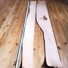 Item thumbnail for item 86408cbe-e515-4f3e-9561-7a59c2653ceb