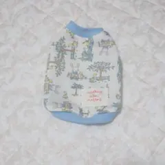 Item thumbnail for item 4f934bec-f17f-4fe8-9165-c2629a6c7333