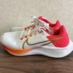 NIKEペガサスシューズ