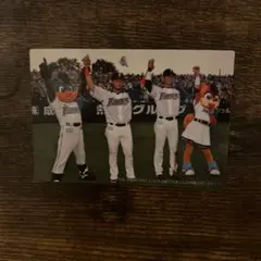 大谷翔平 中田翔 プロ野球チップス2014 チェックリスト 日ハム - メルカリ