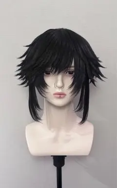 sbgy様専用ページ 鬼滅の刃 冨岡義勇 コスプレ ウィッグ セット済み