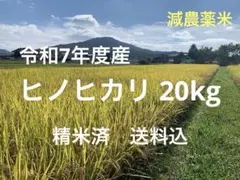 農家直送】岐阜県産 ハツシモ 20kg 大粒米 精米したて - メルカリ
