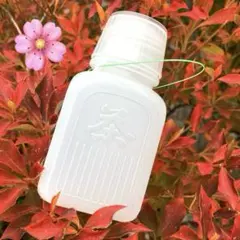 Item thumbnail for item 3917f327-2b12-4234-8d1a-76a27c737293