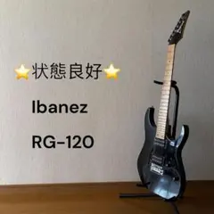 廃盤品 Bill Lawrence VR-202 エレキギター メタリックグレー - メルカリ