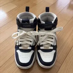 Item thumbnail for item d5043a44-b598-405f-a610-d6d5bfaf3b66