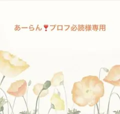 ꙳ もぴ＊プロフ必読お願いしますさま専用꙳ 2025年最新プロフ必読でお願いします！の人気アイテム - メルカリ