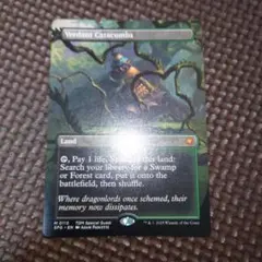 MTG 新緑の地下墓地 Verdant Catacombs 英語版 SPG