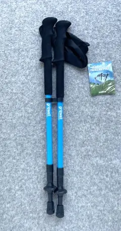 Item thumbnail for item 80f652a1-eb41-4227-8c2d-1d692c2a36a7