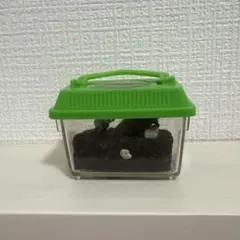 2026年最新】ユージンたのしい、飼育当番の人気アイテム - メルカリ