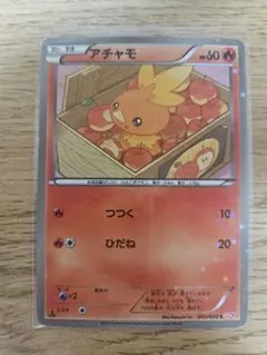 ポケカ アチャモ 108/XY-P プロモ 未開封 未開封プロモ】 アチャモ 108/XY-P – 晴れる屋2